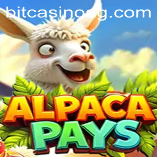 Discover the Thrills of AlpacaPays on Heroi.bet